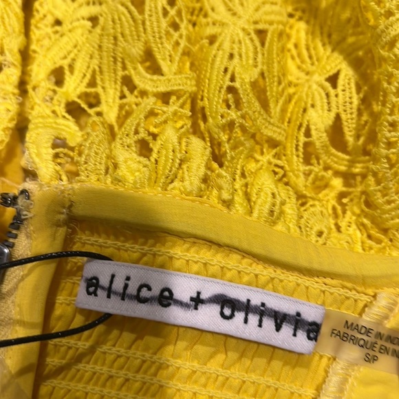 Alice + Olivia Bleeker Ruffled Lace Crop Top - Picture 9 of 9